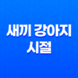 귀여운 루이와 구름이의 새끼 강아지 시절, 추억의 사진들 103
