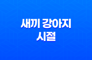 귀여운 루이와 구름이의 새끼 강아지 시절, 추억의 사진들 16 귀여운 루이와 구름이의 새끼 강아지 시절, 추억의 사진들 15