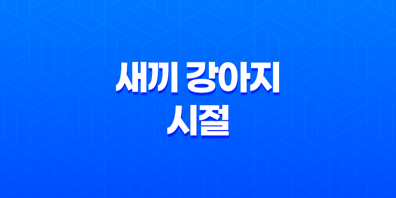 귀여운 루이와 구름이의 새끼 강아지 시절, 추억의 사진들 8 귀여운 루이와 구름이의 새끼 강아지 시절, 추억의 사진들 7
