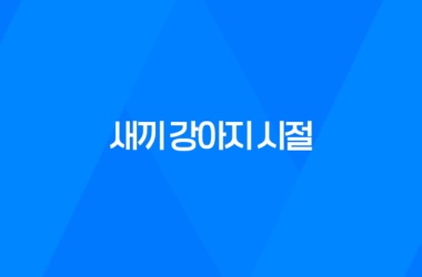 귀여운 루이와 구름이의 새끼 강아지 시절, 추억의 사진들 7