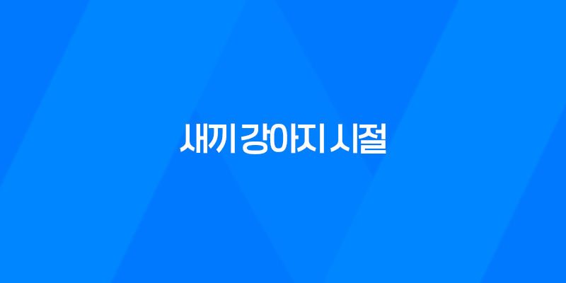 귀여운 루이와 구름이의 새끼 강아지 시절, 추억의 사진들 7