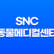 강남동물병원 SNC 동물메디컬센터 - 3차 예방접종 루이와 구름이 87