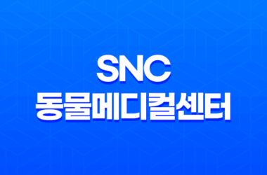 강남동물병원 SNC 동물메디컬센터 - 3차 예방접종 루이와 구름이 14 강남동물병원 SNC 동물메디컬센터 - 3차 예방접종 루이와 구름이 13