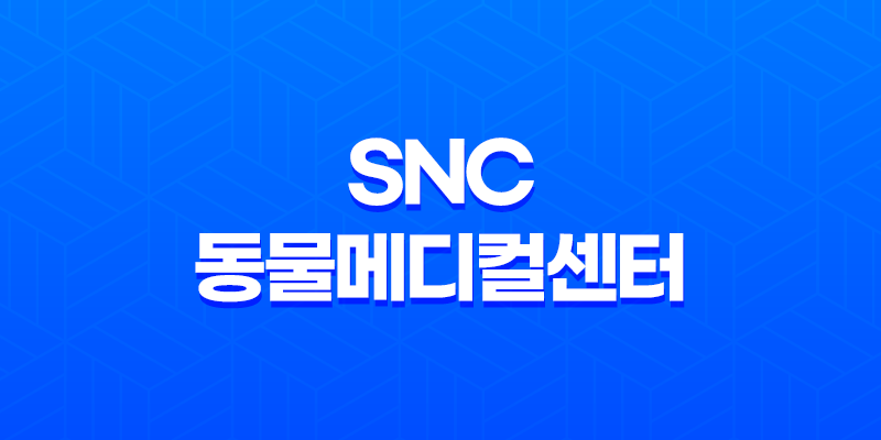 강남동물병원 SNC 동물메디컬센터 - 3차 예방접종 루이와 구름이 8 강남동물병원 SNC 동물메디컬센터 - 3차 예방접종 루이와 구름이 7