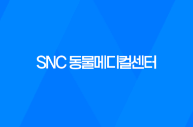 강남동물병원 SNC 동물메디컬센터 - 3차 예방접종 루이와 구름이 17