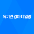 유기견 강아지 입양부터 성장까지 '강아지와 산다는 것' 39