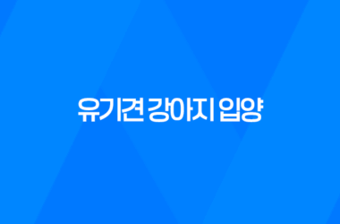 유기견 강아지 입양부터 성장까지 '강아지와 산다는 것' 13