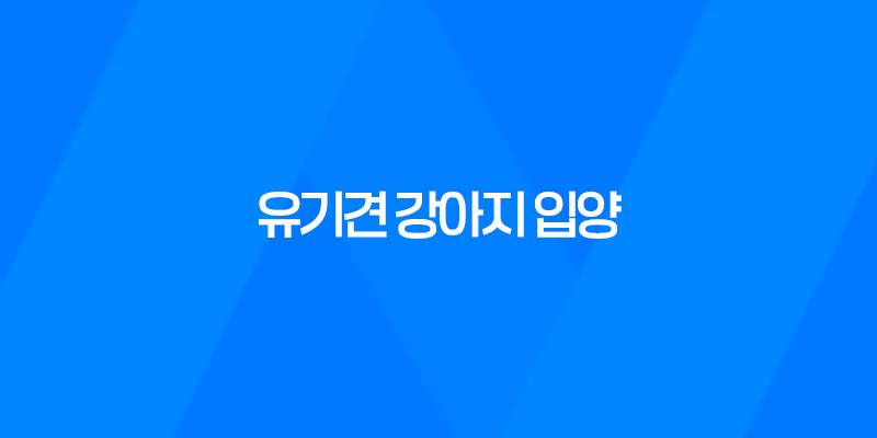 유기견 강아지 입양부터 성장까지 '강아지와 산다는 것' 8 유기견 강아지 입양부터 성장까지 '강아지와 산다는 것' 7
