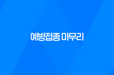 강남 역삼 SNC동물병원, 예방접종 마무리! 9