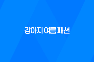 강아지 여름 패션 - 커플룩 여행 준비 15