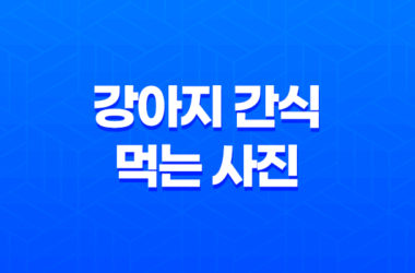 강아지 간식 먹는 사진, 귀여워! 강아지 커플 8 강아지 간식 먹는 사진, 귀여워! 강아지 커플 7
