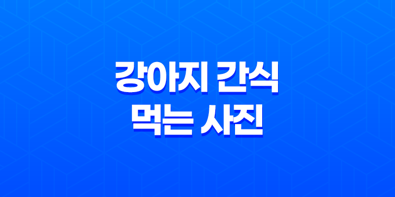 강아지 간식 먹는 사진, 귀여워! 강아지 커플 8 강아지 간식 먹는 사진, 귀여워! 강아지 커플 7