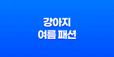 강아지 여름 패션 - 커플룩 여행 준비 58