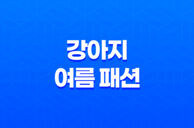 강아지 여름 패션 - 커플룩 여행 준비 12 강아지 여름 패션 - 커플룩 여행 준비 11