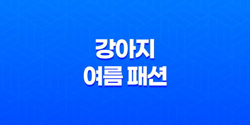 강아지 여름 패션 - 커플룩 여행 준비 8 강아지 여름 패션 - 커플룩 여행 준비 7