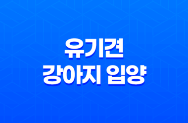 유기견 강아지 입양부터 성장까지 '강아지와 산다는 것' 10 유기견 강아지 입양부터 성장까지 '강아지와 산다는 것' 9