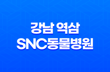 강남 역삼 SNC동물병원, 예방접종 마무리! 30 강남 역삼 SNC동물병원, 예방접종 마무리! 29