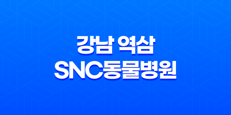 강남 역삼 SNC동물병원, 예방접종 마무리! 8 강남 역삼 SNC동물병원, 예방접종 마무리! 7