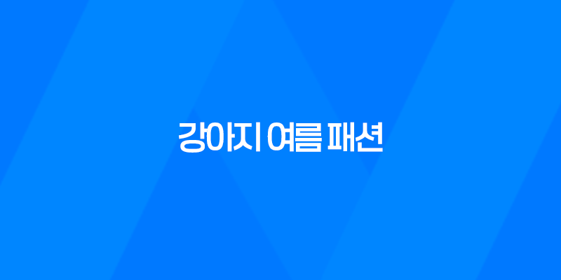 강아지 여름 패션 - 커플룩 여행 준비 7