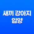 새끼 강아지 입양 어느새 벌써 한살! 입양한지 7개월, 강아지들은 한살이 되었어요. 31