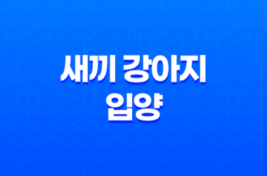 새끼 강아지 입양 어느새 벌써 한살! 입양한지 7개월, 강아지들은 한살이 되었어요. 28 새끼 강아지 입양 어느새 벌써 한살! 입양한지 7개월, 강아지들은 한살이 되었어요. 27