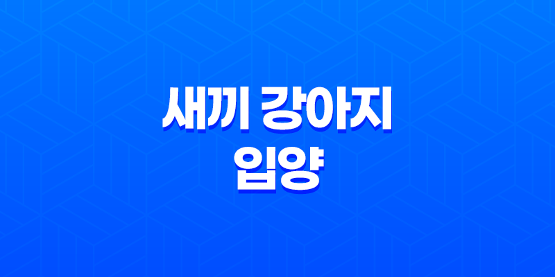 새끼 강아지 입양 어느새 벌써 한살! 입양한지 7개월, 강아지들은 한살이 되었어요. 8 새끼 강아지 입양 어느새 벌써 한살! 입양한지 7개월, 강아지들은 한살이 되었어요. 7