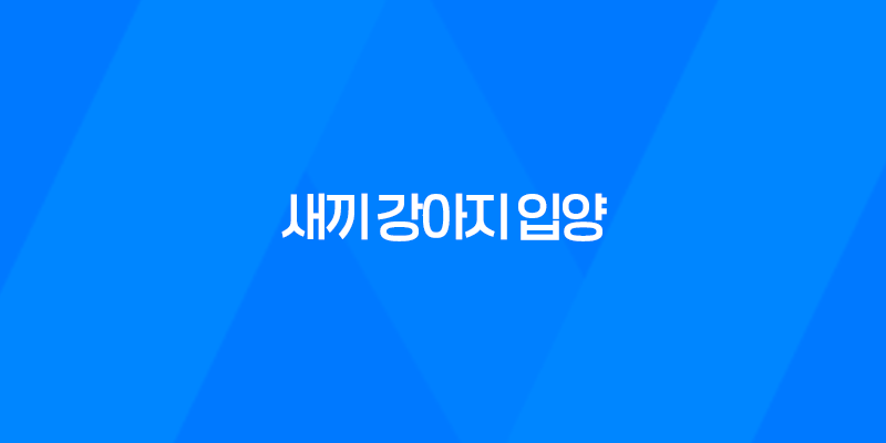 새끼 강아지 입양 어느새 벌써 한살! 입양한지 7개월, 강아지들은 한살이 되었어요. 8 새끼 강아지 입양 어느새 벌써 한살! 입양한지 7개월, 강아지들은 한살이 되었어요. 7