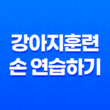강아지훈련 손 연습하기 - 새끼 강아지 훈련 시키는 방법 65
