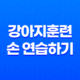 강아지훈련 손 연습하기 - 새끼 강아지 훈련 시키는 방법 65