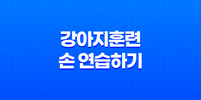 강아지훈련 손 연습하기 - 새끼 강아지 훈련 시키는 방법 8 강아지훈련 손 연습하기 - 새끼 강아지 훈련 시키는 방법 7