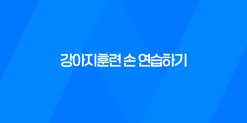 강아지훈련 손 연습하기 - 새끼 강아지 훈련 시키는 방법 8 강아지훈련 손 연습하기 - 새끼 강아지 훈련 시키는 방법 7
