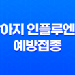 강남동물병원 SNC 강아지 인플루엔저 예방접종 후기 35