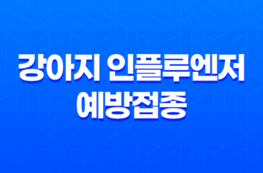 강남동물병원 SNC 강아지 인플루엔저 예방접종 후기 22 강남동물병원 SNC 강아지 인플루엔저 예방접종 후기 21