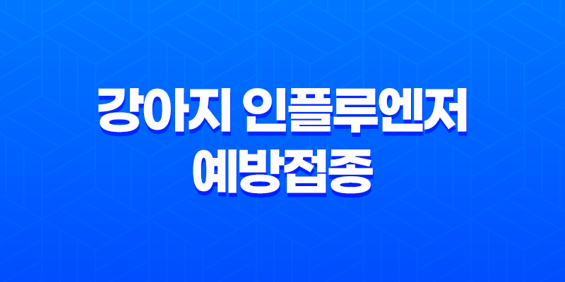 강남동물병원 SNC 강아지 인플루엔저 예방접종 후기 8 강남동물병원 SNC 강아지 인플루엔저 예방접종 후기 7