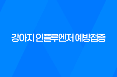 강남동물병원 SNC 강아지 인플루엔저 예방접종 후기 13