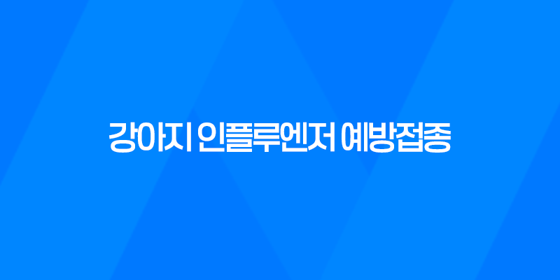 강남동물병원 SNC 강아지 인플루엔저 예방접종 후기 8 강남동물병원 SNC 강아지 인플루엔저 예방접종 후기 7