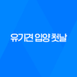 유기견 입양 첫날, 두 마리와 함께하는 행복한 시작! 31