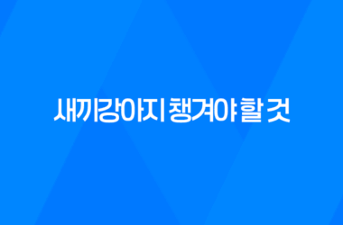 강아지 키우기, 새끼강아지 챙겨야 할 것 7
