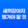 강아지 키우기, 새끼강아지 챙겨야 할 것 45