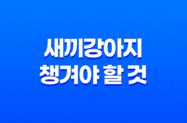강아지 키우기, 새끼강아지 챙겨야 할 것 16 강아지 키우기, 새끼강아지 챙겨야 할 것 15
