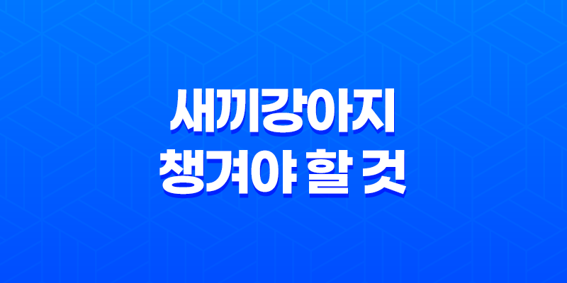 강아지 키우기, 새끼강아지 챙겨야 할 것 8 강아지 키우기, 새끼강아지 챙겨야 할 것 7