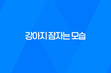 더위에는 강아지들도 못참아요 - 강아지 잠자는 모습 11