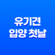 유기견 입양 첫날, 두 마리와 함께하는 행복한 시작! 31