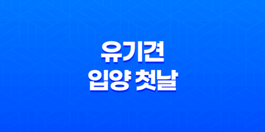 유기견 입양 첫날, 두 마리와 함께하는 행복한 시작! 43