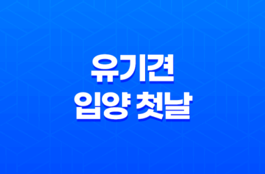 유기견 입양 첫날, 두 마리와 함께하는 행복한 시작! 18 유기견 입양 첫날, 두 마리와 함께하는 행복한 시작! 17