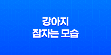 더위에는 강아지들도 못참아요 - 강아지 잠자는 모습 7