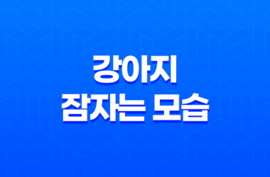 더위에는 강아지들도 못참아요 - 강아지 잠자는 모습 20 더위에는 강아지들도 못참아요 - 강아지 잠자는 모습 19