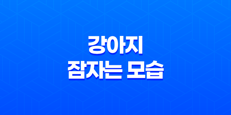 더위에는 강아지들도 못참아요 - 강아지 잠자는 모습 8 더위에는 강아지들도 못참아요 - 강아지 잠자는 모습 7