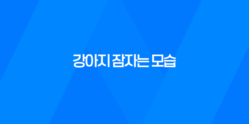 더위에는 강아지들도 못참아요 - 강아지 잠자는 모습 7