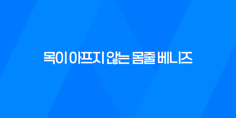 강아지 목줄, 목이 아프지 않는 몸줄 베니즈 8 강아지 목줄, 목이 아프지 않는 몸줄 베니즈 7